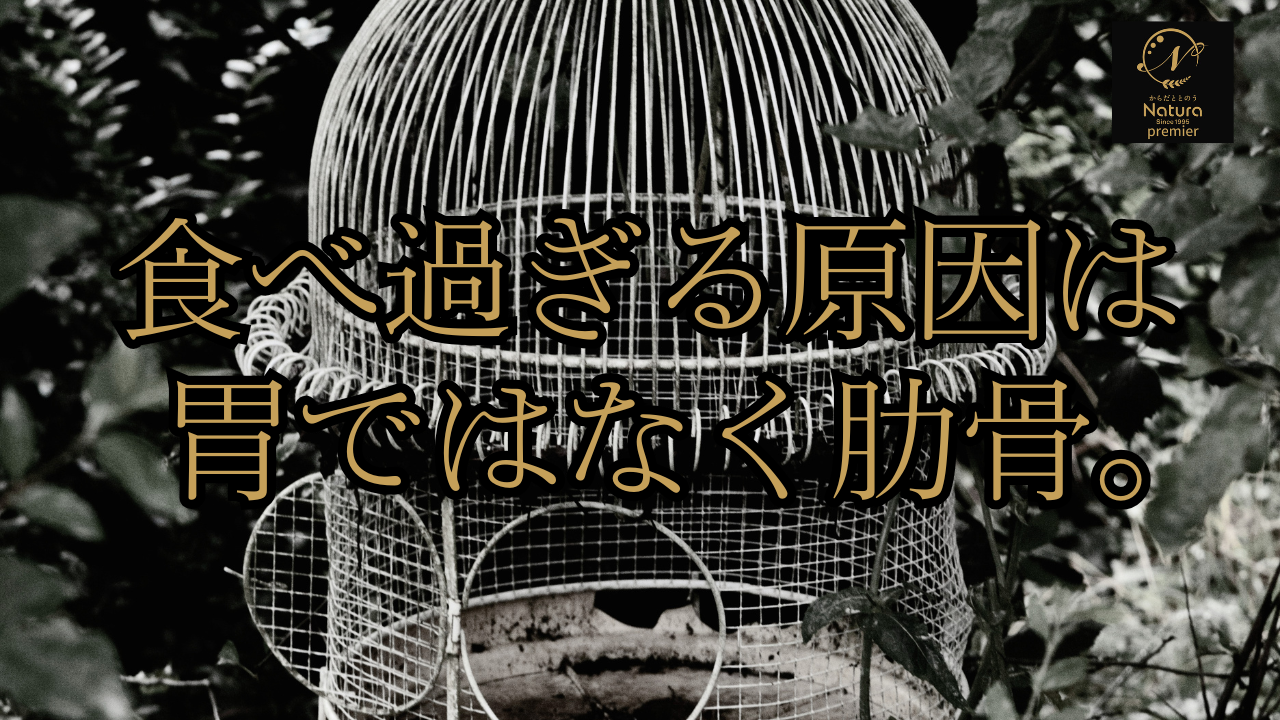 食べ過ぎる原因は肋骨